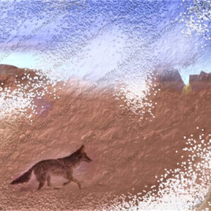 Coyote Crossing