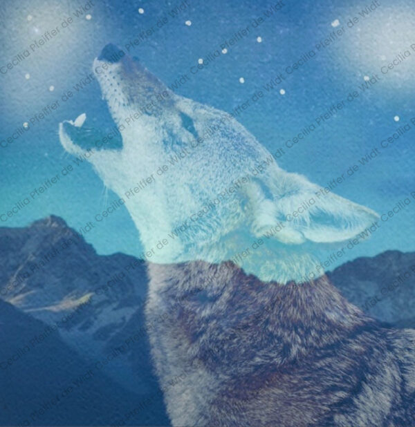 Coyote Moon