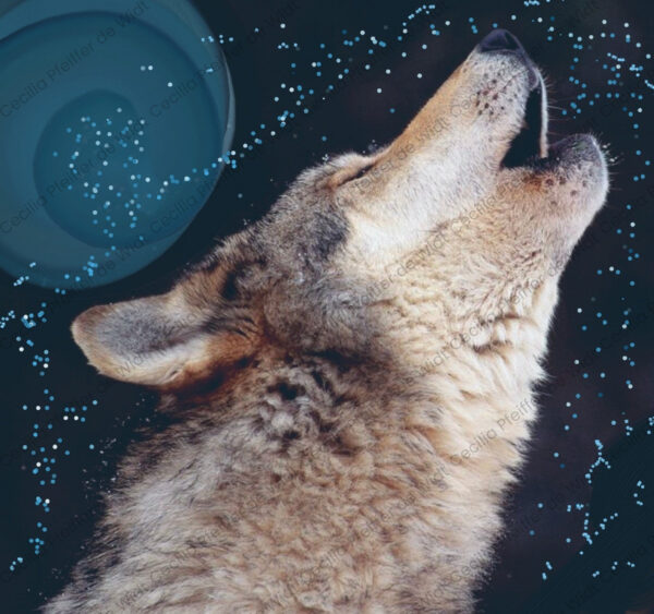 Full Wolf Moon