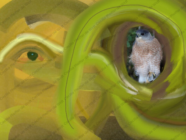 Hidden in Plain Sight