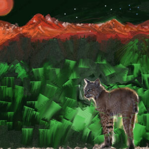 Night Vision Bobcat