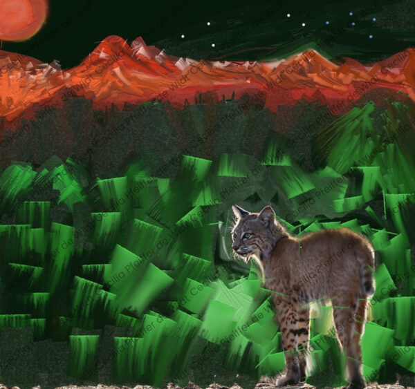 Night Vision Bobcat