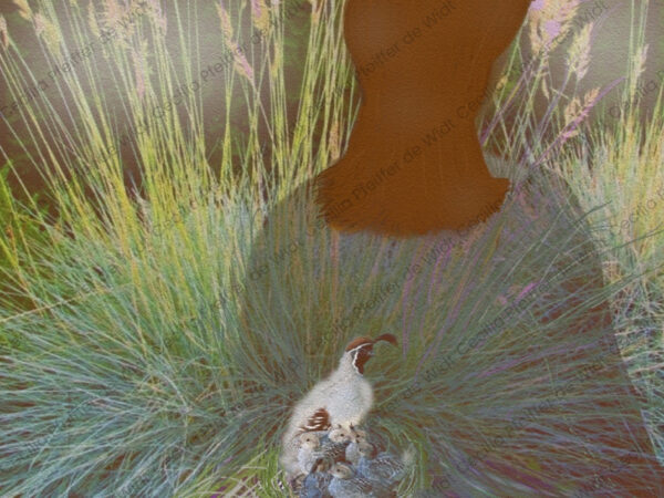 The Quail Keeper