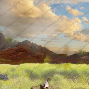 Quail Valley at Chimney Rock
