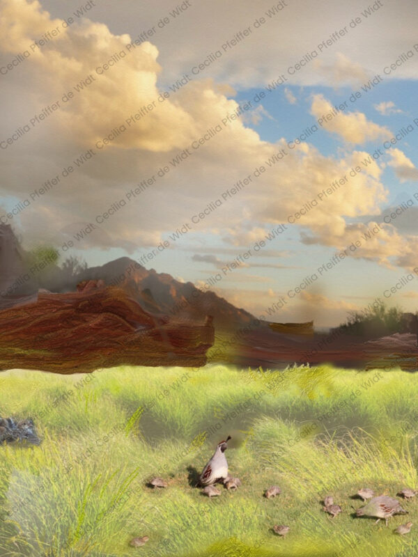 Quail Valley at Chimney Rock