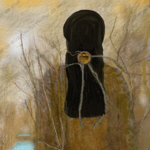 The Huntress