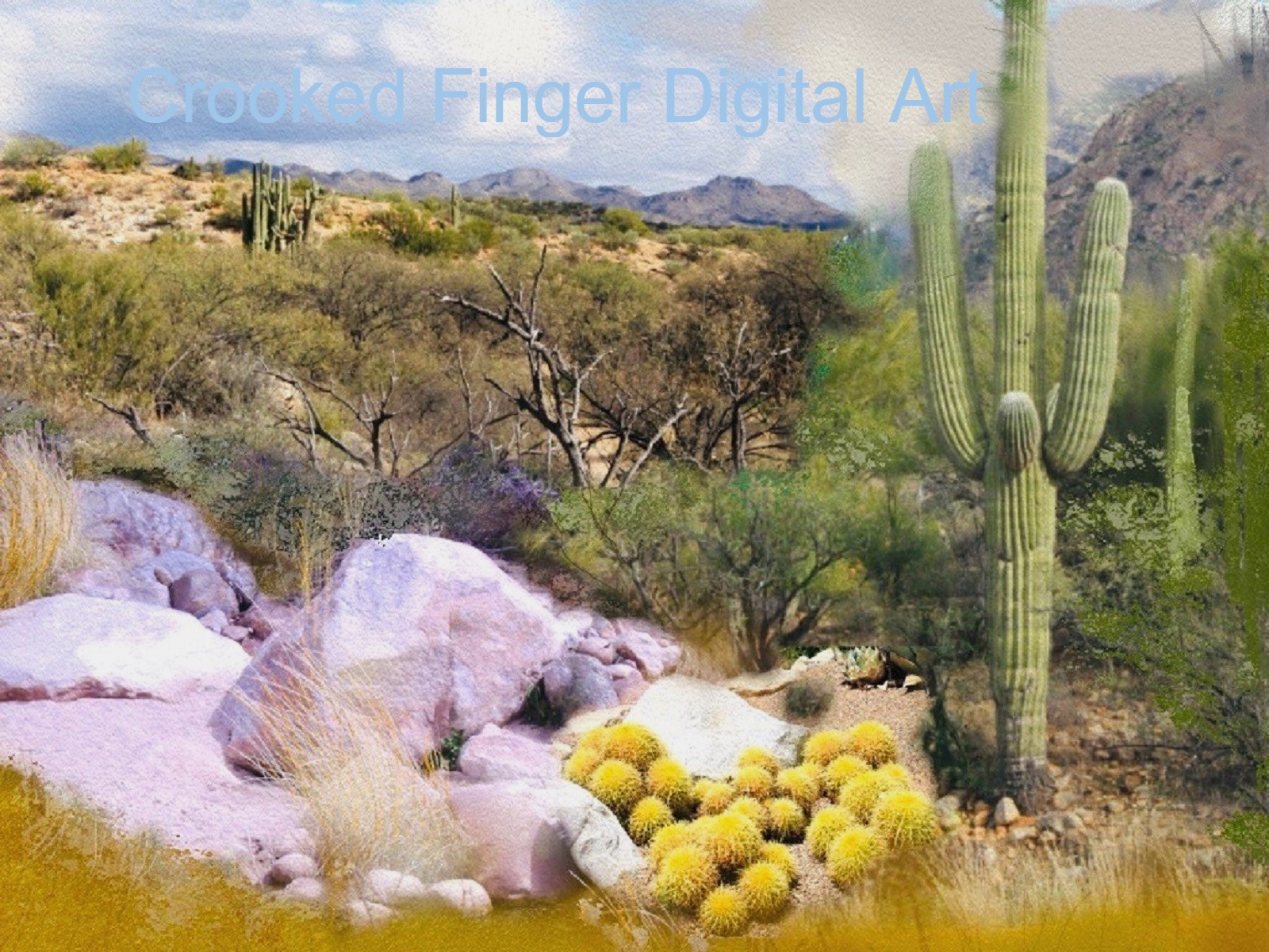 Saguaro View 300dpi (1) - Watermarked